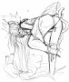 hrw_riesz_r08.gif